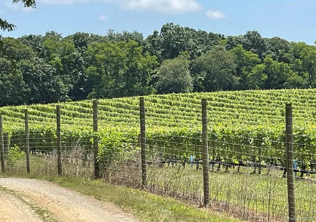 Photo 3 of Land for sale at (Undisclosed), Southold, NY 11958 | MLS# 1033248 | Listing updated on 2026-07-31