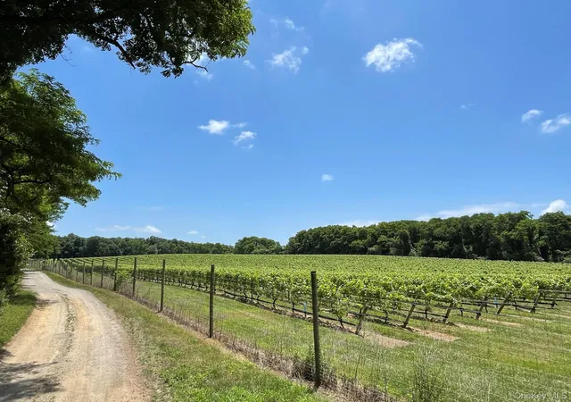 Photo 3 of Land for sale at (Undisclosed), Southold, NY 11958 | MLS# 1033248 | Listing updated on 2026-07-31