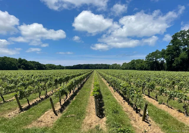 Photo 4 of Land for sale at (Undisclosed), Southold, NY 11958 | MLS# 1033248 | Listing updated on 2026-07-31