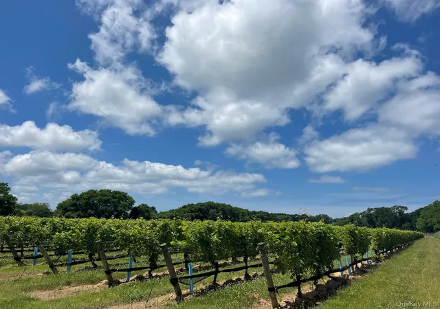 Photo 7 of Land for sale at 30145 County Rd 48, Southold, NY 11958 | MLS# 1033248 | Listing updated on 2026-07-31