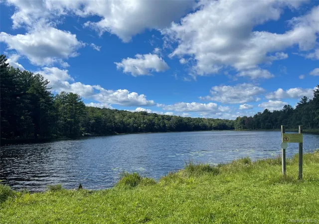 8th image of 8 Willow Ln, Thompson, NY 12701 | MLS# 1033266