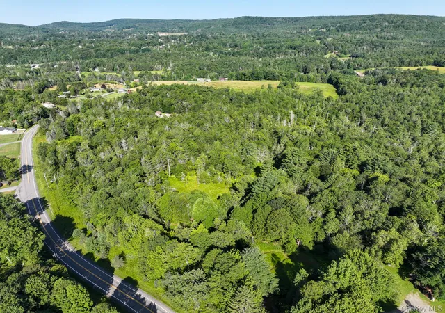 12th image of Neversink Rd, Liberty, NY 12754 | MLS# 1033274