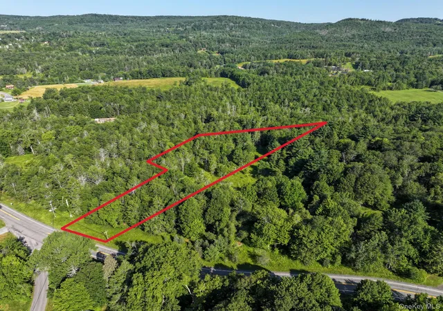 2nd image of Neversink Rd, Liberty, NY 12754 | MLS# 1033274