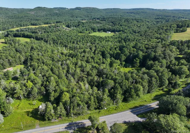 3rd image of Neversink Rd, Liberty, NY 12754 | MLS# 1033274