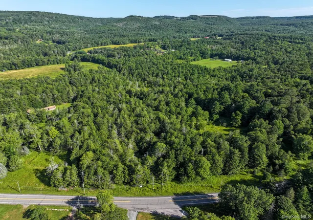 4th image of Neversink Rd, Liberty, NY 12754 | MLS# 1033274