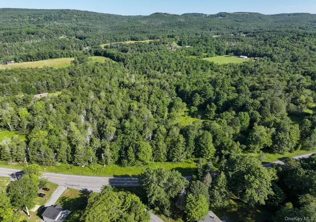 5th image of Neversink Rd, Liberty, NY 12754 | MLS# 1033274