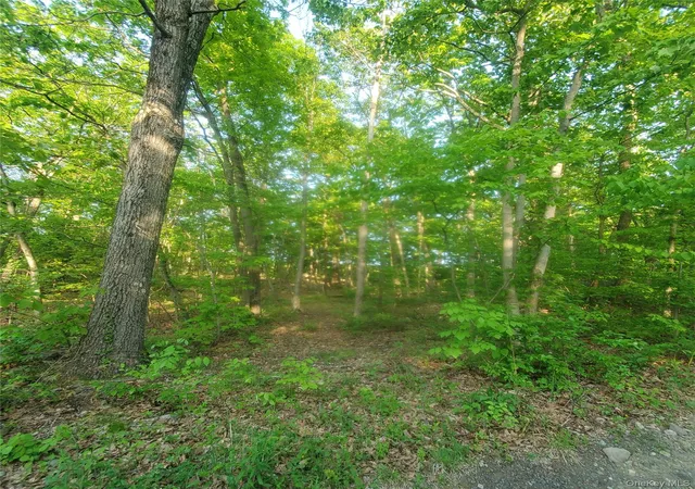 Photo 3 of Land for sale at 15 Rose Hl Rd, Warwick (town), NY 10950 | MLS# 1033606 | Listing updated on 2026-08-02