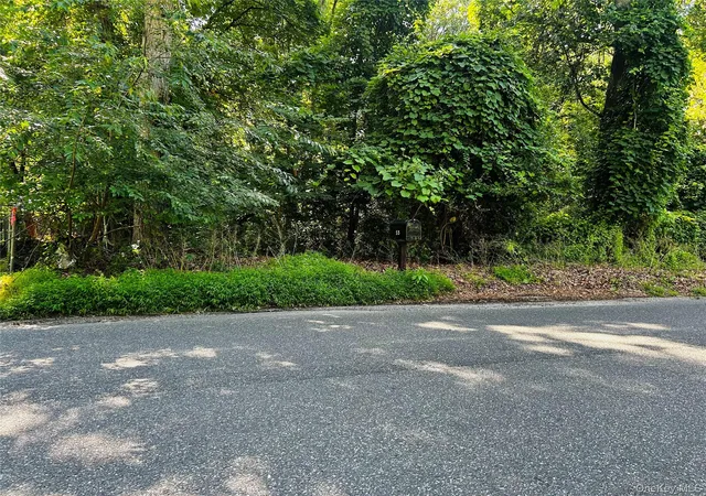Photo 3 of Sale Pending at 0 Swezeytown Rd S, Brookhaven, NY 11953 | MLS# 1033682 | Listing updated on 2026-08-12
