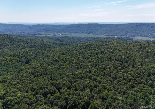 Photo 3 of Land for sale at State Route 209, Mamakating, NY 12790 | MLS# 1033706 | Listing updated on 2026-08-24
