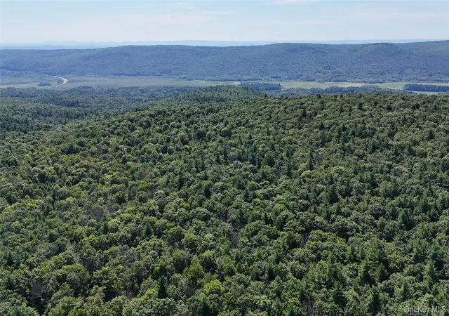 Photo 4 of Land for sale at State Route 209, Mamakating, NY 12790 | MLS# 1033706 | Listing updated on 2026-08-24