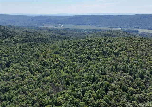 Photo 5 of Land for sale at State Route 209, Mamakating, NY 12790 | MLS# 1033706 | Listing updated on 2026-08-24