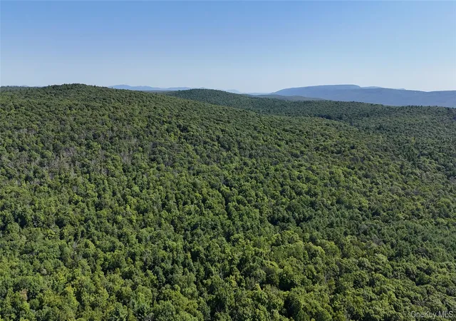 7th image of State Route 209, Mamakating, NY 12790 | MLS# 1033706