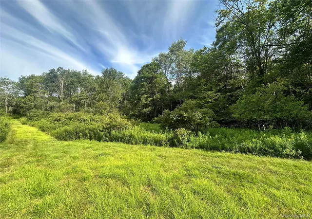 14th image of O Benton Hollow Rd, Liberty, NY 12758 | MLS# 1034057