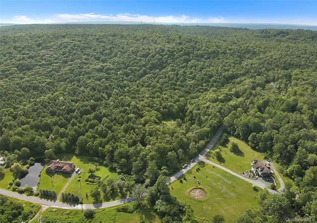 2nd image of O Benton Hollow Rd, Liberty, NY 12758 | MLS# 1034057