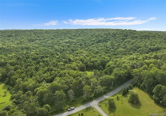 3rd image of O Benton Hollow Rd, Liberty, NY 12758 | MLS# 1034057