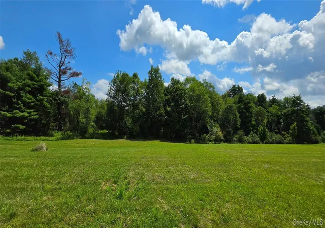 2nd image of Lots 4 & 5 Dr Duggan Rd, Bethel, NY 12720 | MLS# 1034144