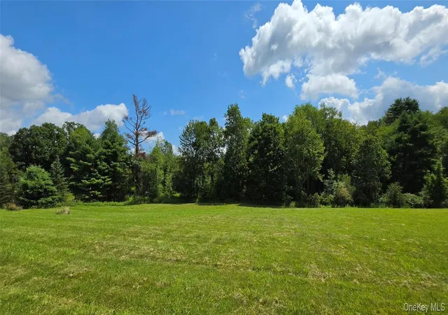 4th image of Lots 4 & 5 Dr Duggan Rd, Bethel, NY 12720 | MLS# 1034144