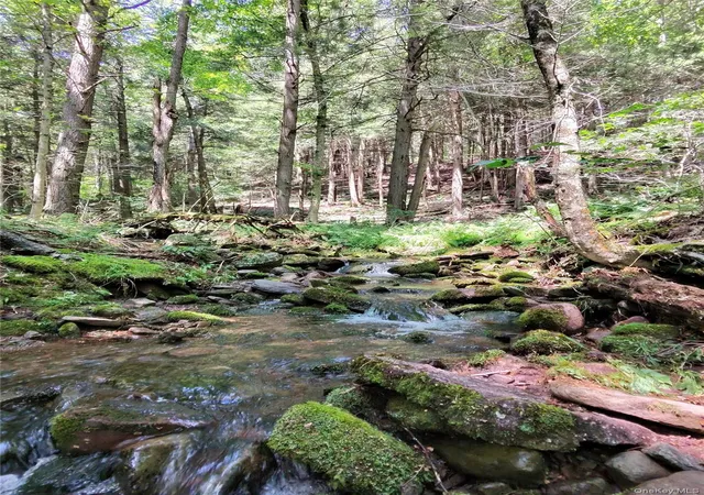 Photo 3 of Single family home for sale at 2735 Denning Rd, Denning, NY 12725 | MLS# 1034153 | Listing updated on 2026-08-19