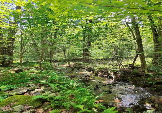 50th image of 2735 Denning Rd, Denning, NY 12725 | MLS# 1034153