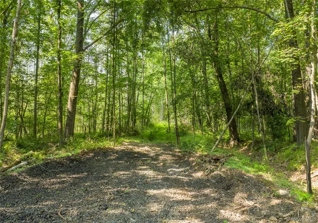 1st image of (lot 4) 111 South St, Lloyd, NY 12528 | MLS# 1034387