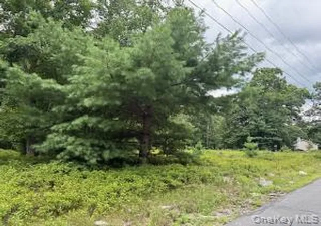 1st image of 695 Big Pond Rd, Deerpark, NY 12746 | MLS# 1034518