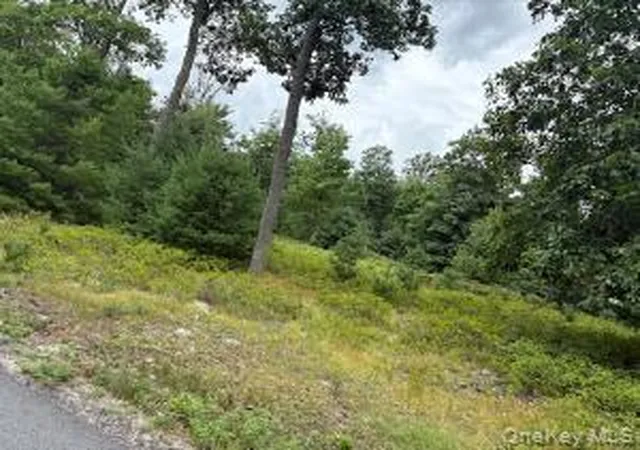 2nd image of 695 Big Pond Rd, Deerpark, NY 12746 | MLS# 1034518