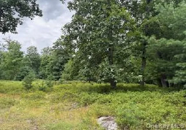 3rd image of 695 Big Pond Rd, Deerpark, NY 12746 | MLS# 1034518