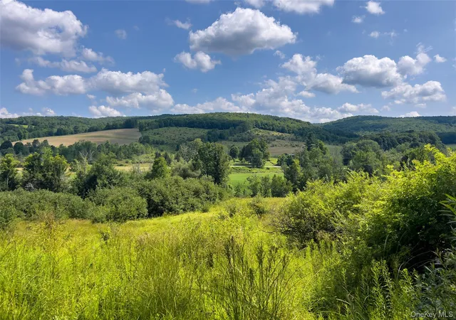 Photo 3 of Land for sale at Lot #11 Franklin Depot Rd, Sidney, NY 13838 | MLS# 1034570 | Listing updated on 2026-08-05