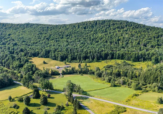 Photo 3 of Land for sale at Lot #11 Franklin Depot Rd, Sidney, NY 13838 | MLS# 1034570 | Listing updated on 2026-08-05