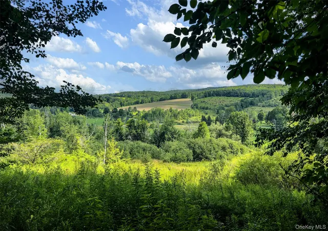 Photo 50 of Land for sale at Lot #11 Franklin Depot Rd, Sidney, NY 13838 | MLS# 1034570 | Listing updated on 2026-08-05