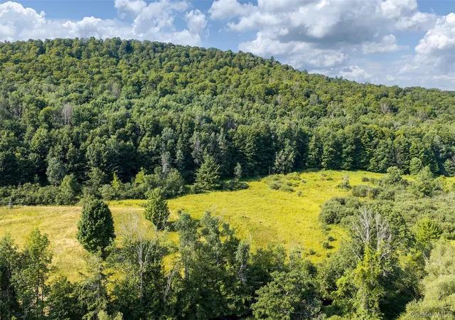 Photo 4 of Land for sale at Lot #11 Franklin Depot Rd, Sidney, NY 13838 | MLS# 1034570 | Listing updated on 2026-08-05