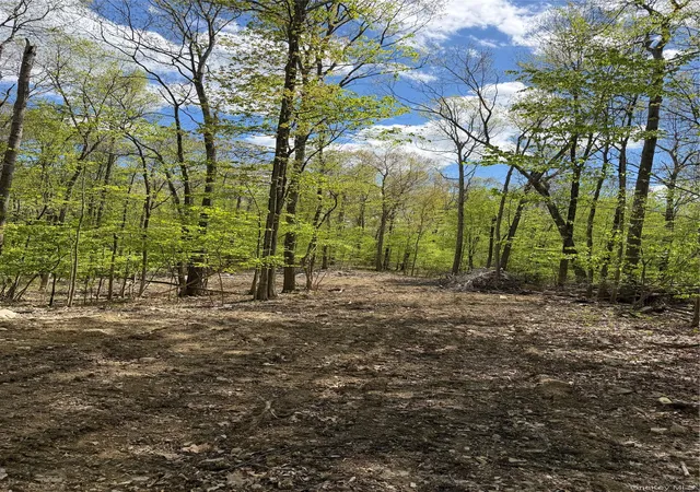 2nd image of 748 State Route 44 55, Plattekill, NY 12528 | MLS# 1034599