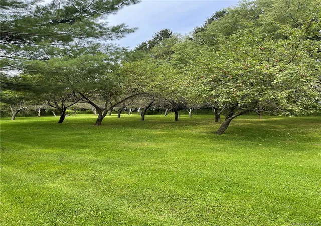 Photo 46 of Single family home for sale at 2614 Turnpike Rd, Meredith, NY 13757 | MLS# 1034617 | Listing updated on 2026-08-27
