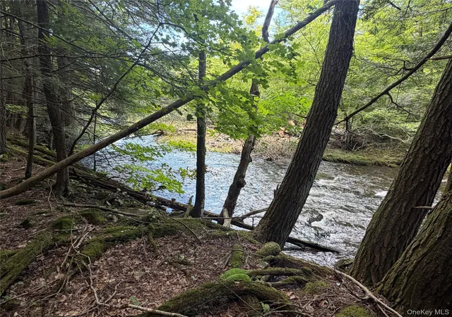 Photo 2 of Land for sale at 0 Laurie Ln, Cairo, NY 12413 | MLS# 1035083 | Listing updated on 2026-08-28