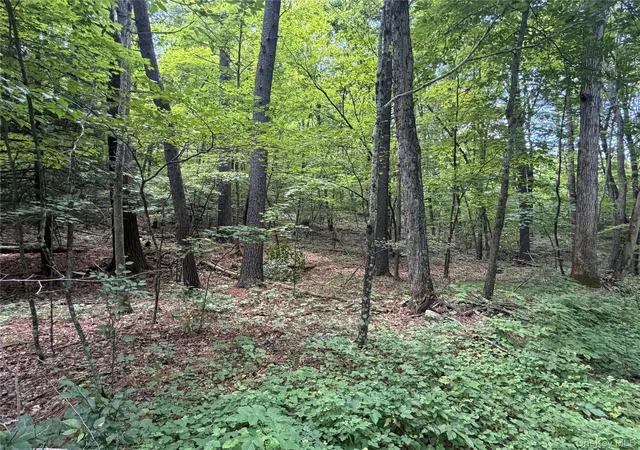 Photo 3 of Land for sale at 0 Laurie Ln, Cairo, NY 12413 | MLS# 1035083 | Listing updated on 2026-08-28