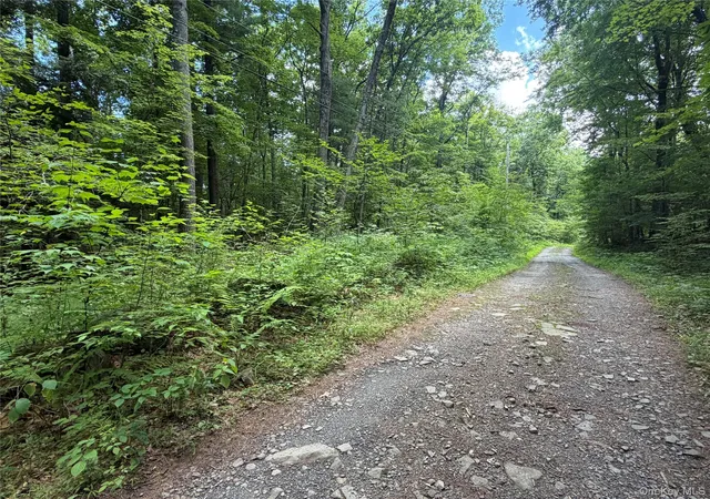 Photo 4 of Land for sale at 0 Laurie Ln, Cairo, NY 12413 | MLS# 1035083 | Listing updated on 2026-08-28
