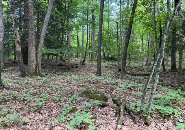 Photo 5 of Land for sale at 0 Laurie Ln, Cairo, NY 12413 | MLS# 1035083 | Listing updated on 2026-08-28