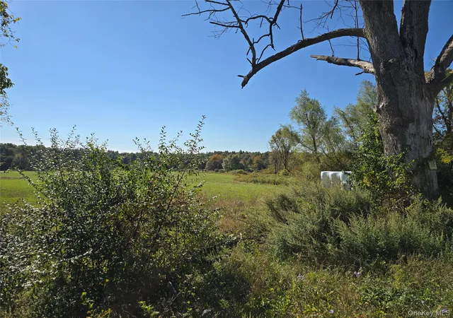 5th image of 171 Winterton Rd, Mamakating, NY 12721 | MLS# 1035660