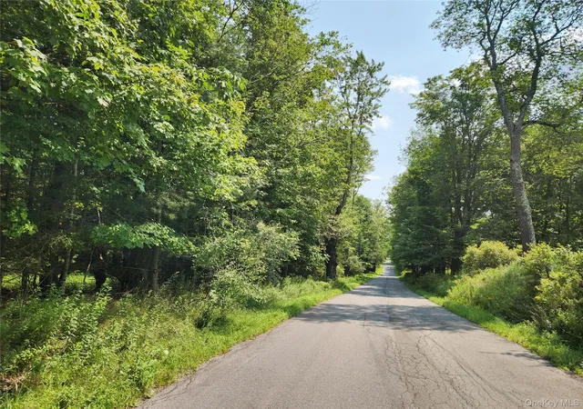 1st image of Soule Rd, Bethel, NY 12720 | MLS# 1035950