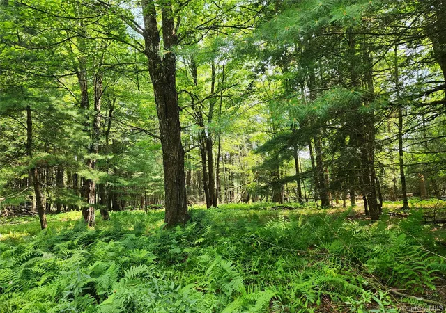 2nd image of Soule Rd, Bethel, NY 12720 | MLS# 1035950