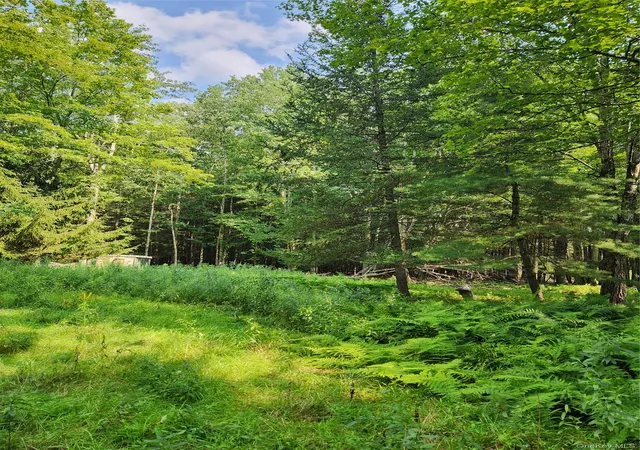 3rd image of Soule Rd, Bethel, NY 12720 | MLS# 1035950