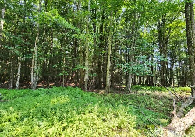 4th image of Soule Rd, Bethel, NY 12720 | MLS# 1035950