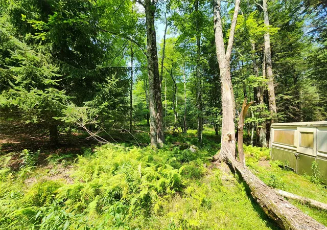 5th image of Soule Rd, Bethel, NY 12720 | MLS# 1035950