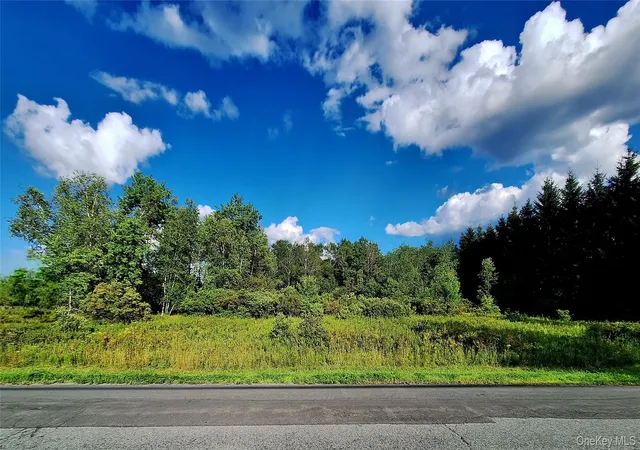 1st image of Burnt Ridge Rd, Fallsburg, NY 12733 | MLS# 1035980