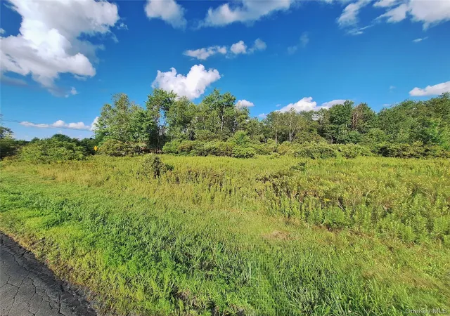 2nd image of Burnt Ridge Rd, Fallsburg, NY 12733 | MLS# 1035980