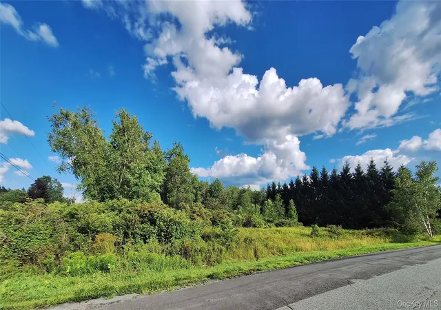 Photo 3 of Land for sale at Burnt Ridge Rd, Fallsburg, NY 12733 | MLS# 1035980 | Listing updated on 2026-08-10