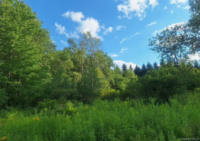 38th image of Burnt Ridge Rd, Fallsburg, NY 12733 | MLS# 1035980
