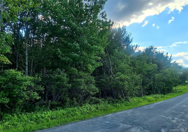 Photo 3 of Land for sale at Burnt Ridge Rd, Fallsburg, NY 12733 | MLS# 1035980 | Listing updated on 2026-08-10