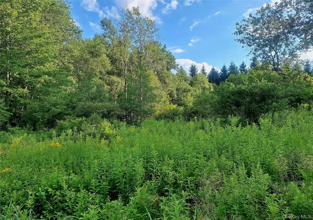 Photo 4 of Land for sale at Burnt Ridge Rd, Fallsburg, NY 12733 | MLS# 1035980 | Listing updated on 2026-08-10