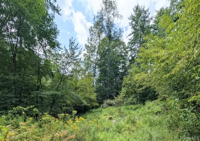 31st image of 38 Hoffman, Tusten, NY 12764 | MLS# 1036150